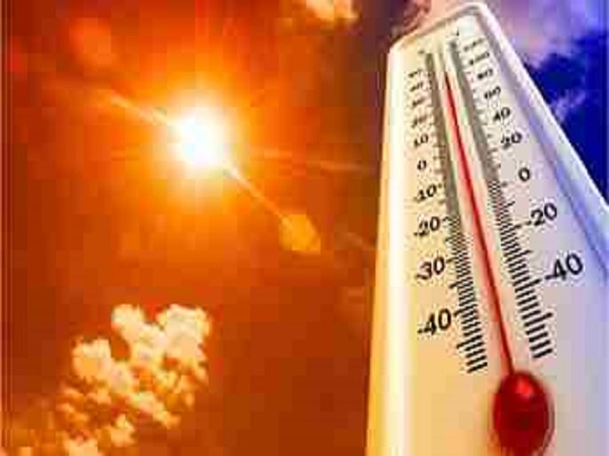 Ahmednagar heat wave, mercury in the district at 44.5 degrees Celsius