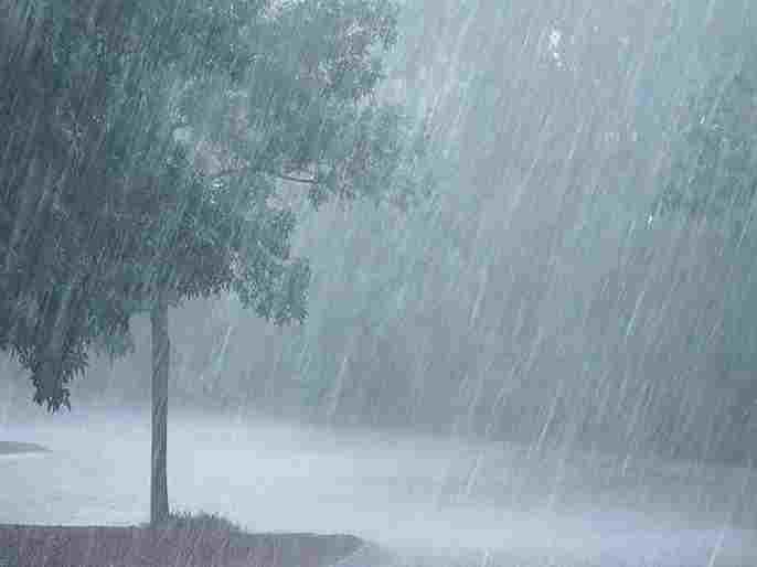 Rain Alert Alerts have been issued to these districts and it will rain with wind