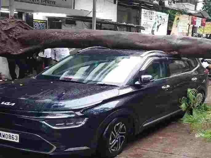 Accident Tree fell on Shiv Sena MP's car