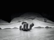 Two brothers killed in electric shock