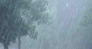 Monsoon will be active again in the state, heavy rain is likely