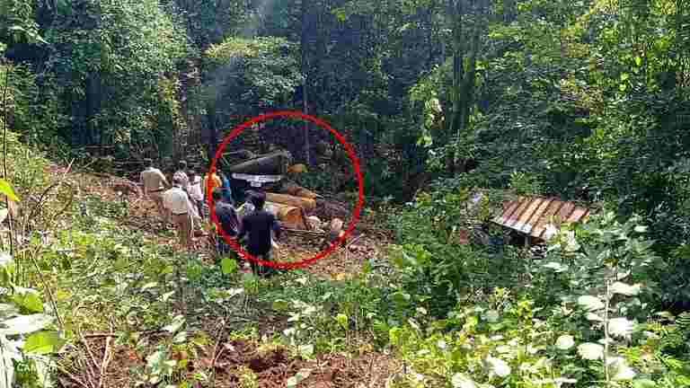 Accident ghat, the truck fell into a 150 feet ravine