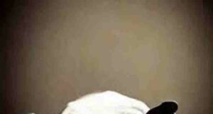 Dead body of the young man was found in the farm