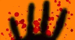Rape and brutal murder of a woman who was taking bulls to graze in the field