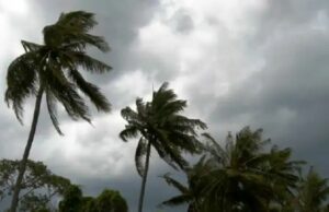 Weather Alert Maharashtra next 48 hours 