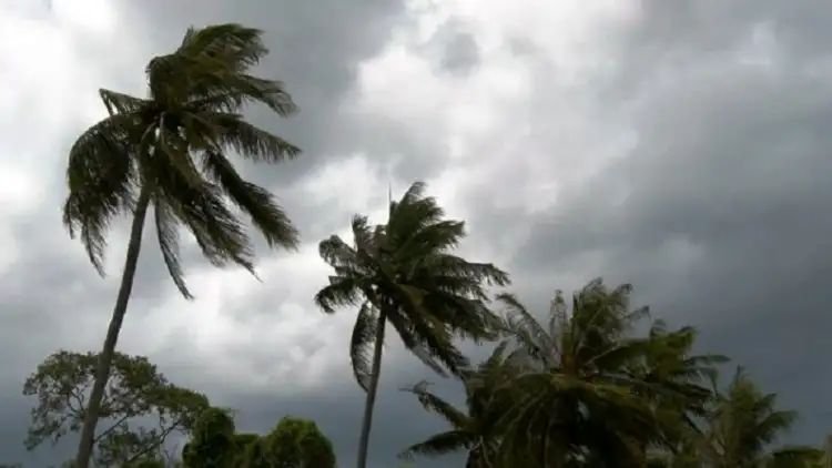Weather Alert Maharashtra next 48 hours 