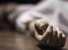 Lovers committed suicide by hanging themselves from a tree in the forest
