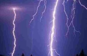 Kotul News Buffaloes were killed by lightning