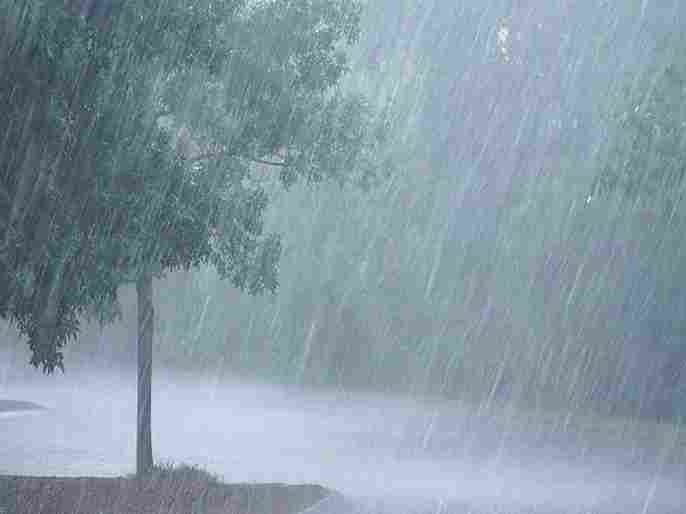 Rain Alert Meteorological department yellow alert across the state