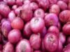 Onion Prices High in Sangamner