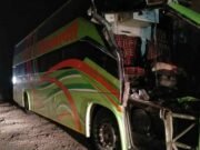 accident involving bus and truck, 15 injured