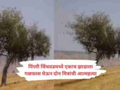 Two friends committed suicide by hanging themselves from the same tree 