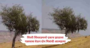 Two friends committed suicide by hanging themselves from the same tree 