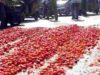 Angry farmer throws tomatoes on the road