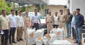 Forest department seized 201 kg of Chandanachi wood 