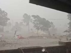 Sangamner Rahata Stormy rain with stormy wind, trees were uprooted
