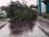 Heavy rains in this area, trees fell on the road
