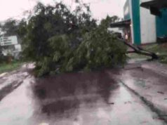 Heavy rains in this area, trees fell on the road