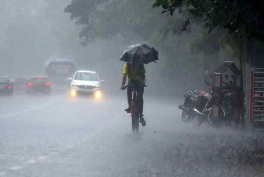 Rains in the district kill seven people