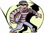 Son-in-law turns out to be a thief, loots valuables worth two lakhs
