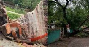 Woman dies after tree falls on bullock cart in storm
