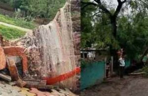 Woman dies after tree falls on bullock cart in storm
