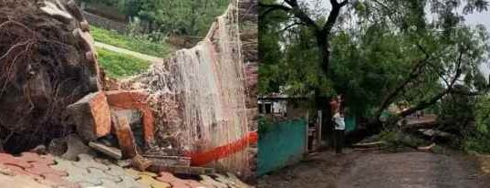 Woman dies after tree falls on bullock cart in storm