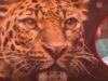 Woman injured in leopard attack dies