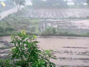 arrival of monsoon in Bhandardara dam catchment