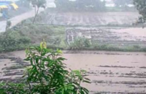 arrival of monsoon in Bhandardara dam catchment