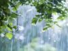 July Maharashtra Rain Alert