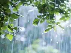 July Maharashtra Rain Alert