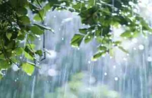 July Maharashtra Rain Alert