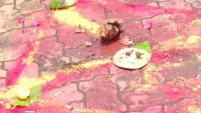 Killing a rooster by throwing turmeric and saffron on the road