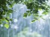 Rain intensity increases in Bhandardara, Mula 