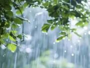 Rain intensity increases in Bhandardara, Mula 