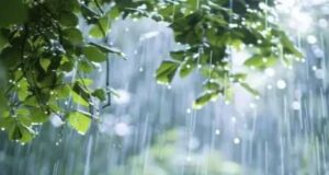 Rain intensity increases in Bhandardara, Mula 