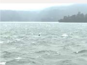 Bhandardara Dam overflows