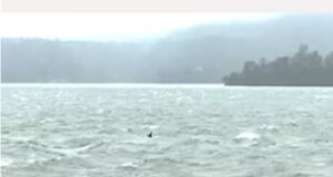 Bhandardara Dam overflows