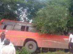 accident Bus carrying 28 passengers hits tree and overturns