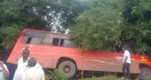 accident Bus carrying 28 passengers hits tree and overturns